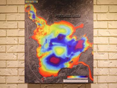 Float mount print map